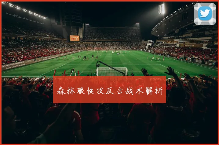 森林狼快攻反击战术解析