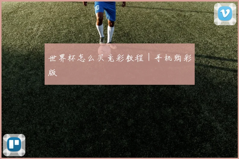 世界杯怎么买竞彩教程｜手机购彩版