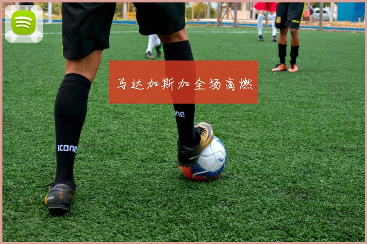 马达加斯加全场高燃