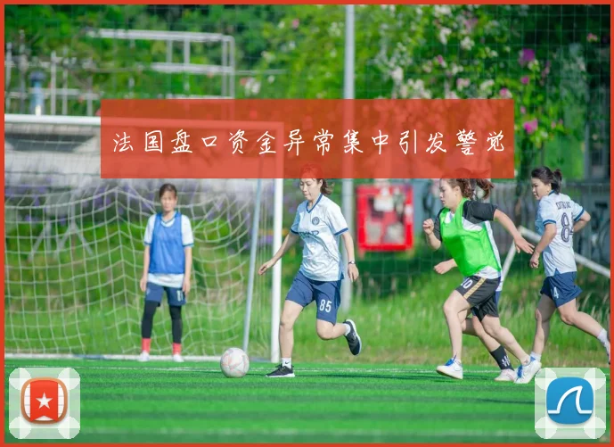 法国盘口资金异常集中引发警觉