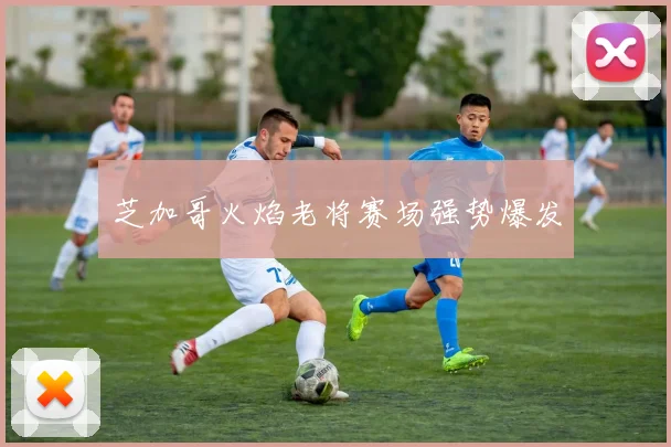芝加哥火焰老将赛场强势爆发