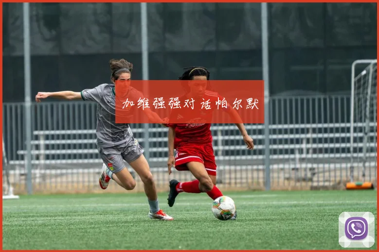 加维强强对话帕尔默