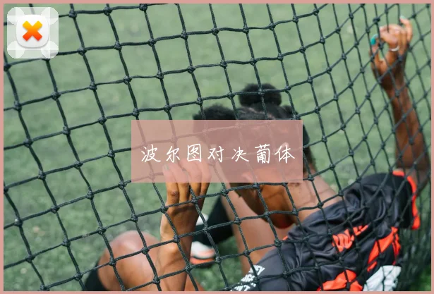 波尔图对决葡体