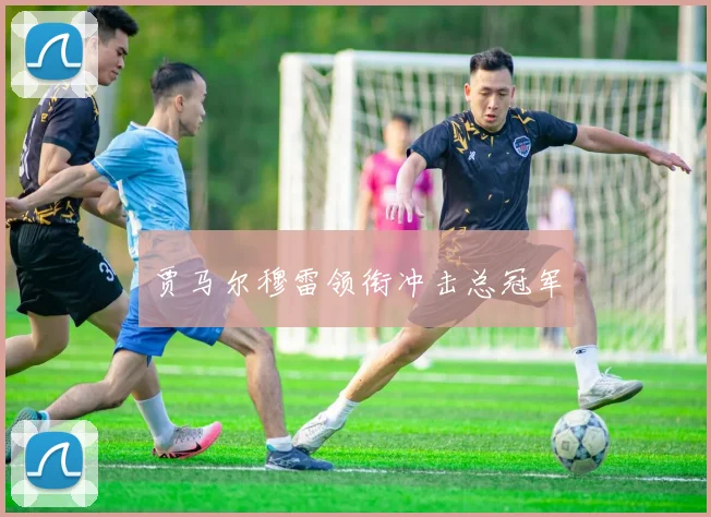 贾马尔穆雷领衔冲击总冠军