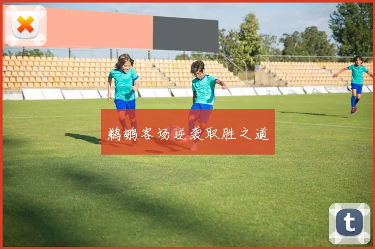 鹈鹕客场逆袭取胜之道