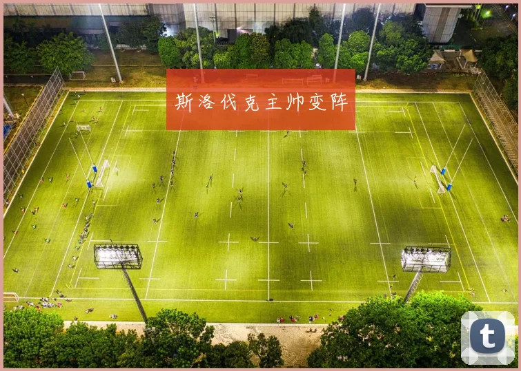 斯洛伐克主帅变阵