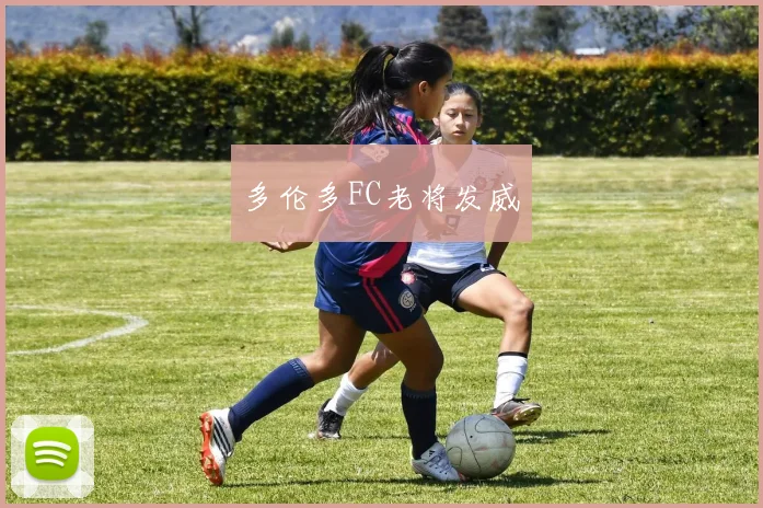 多伦多FC老将发威