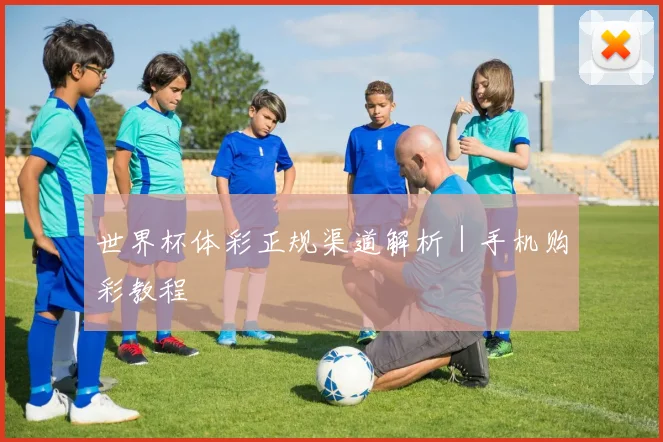 世界杯体彩正规渠道解析｜手机购彩教程