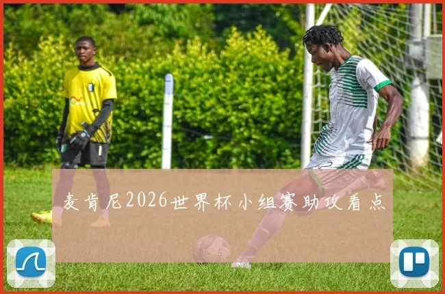麦肯尼2026世界杯小组赛助攻看点