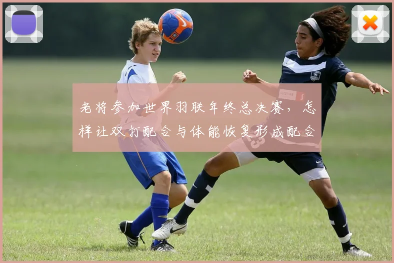 老将参加世界羽联年终总决赛,怎样让双打配合与体能恢复形成配合