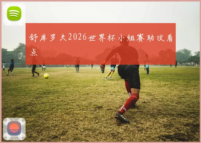 舒库罗夫2026世界杯小组赛助攻看点