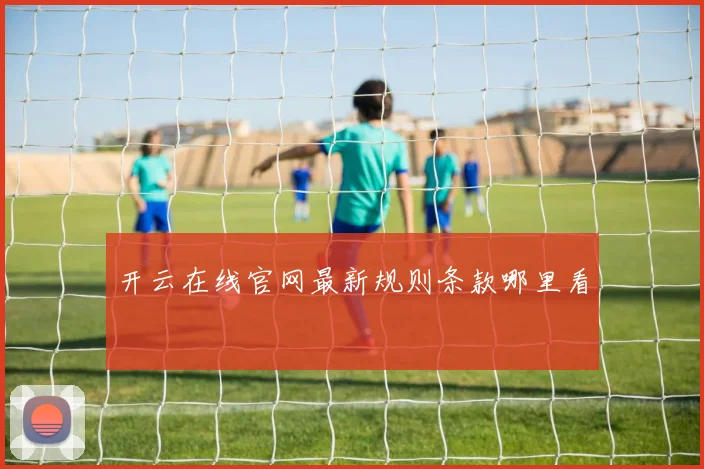 开云在线官网最新规则条款哪里看