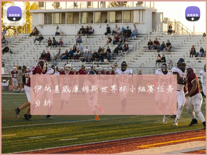 伊纳基威廉姆斯世界杯小组赛任务分析