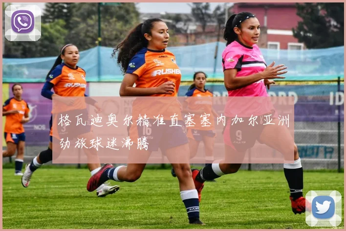 格瓦迪奥尔精准直塞塞内加尔亚洲劲旅球迷沸腾