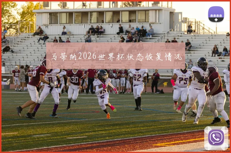 马蒂纳2026世界杯状态恢复情况