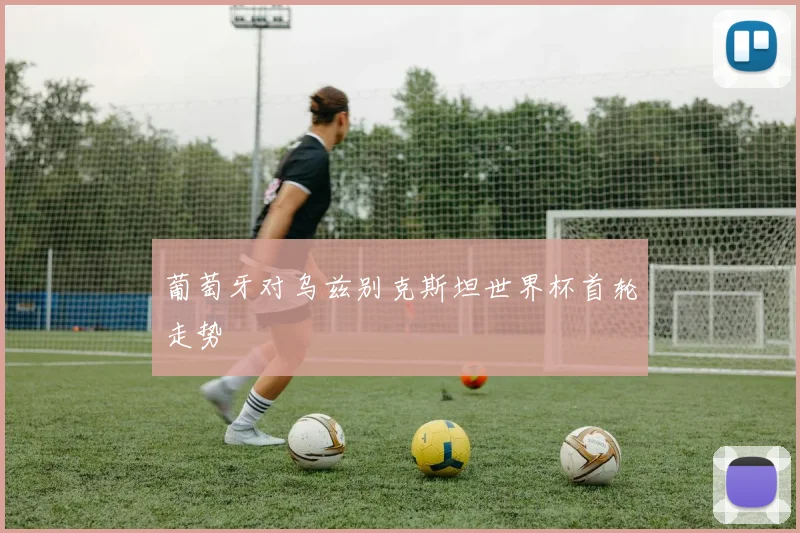 葡萄牙对乌兹别克斯坦世界杯首轮走势
