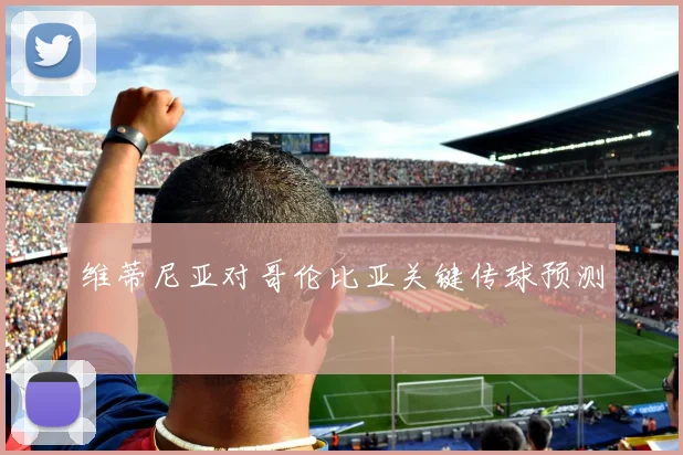 维蒂尼亚对哥伦比亚关键传球预测
