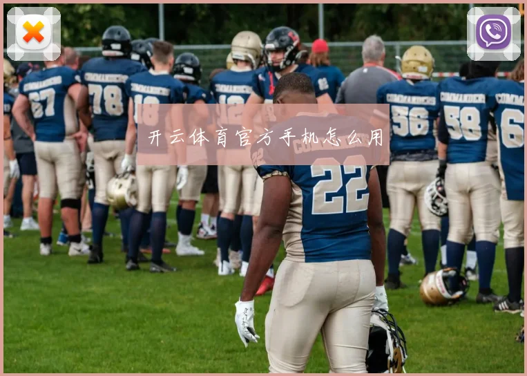 开云体育官方手机怎么用
